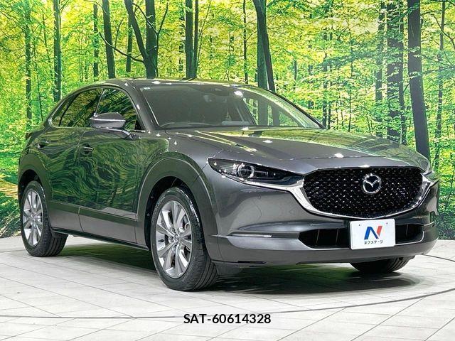Mazda CX-30 2021-06 7453739-15