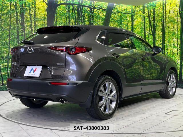 Mazda CX-30 2020-10 7453741-16