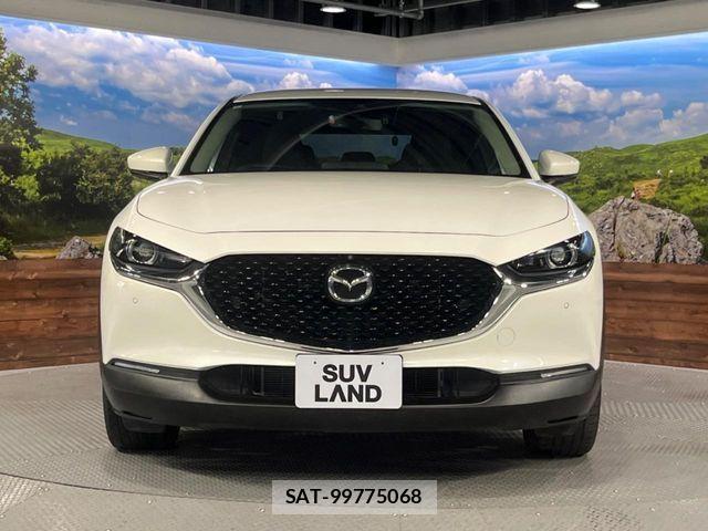 Mazda CX-30 2021-05 7500112-12