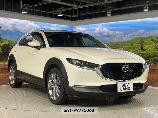 Mazda CX-30 2021-05 7500112-14