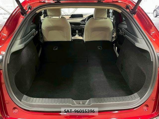 Mazda CX-30 2020-03 7500110-19