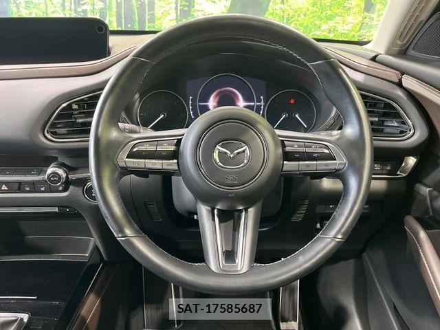 Mazda CX-30 2022-08 7500106-10