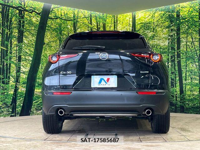 Mazda CX-30 2022-08 7500106-14