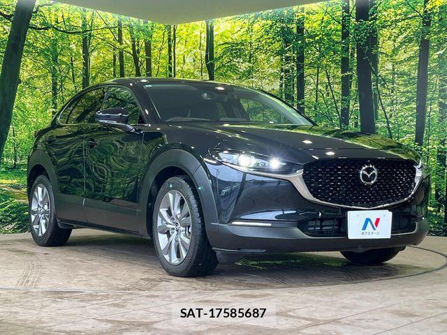 Mazda CX-30 2022-08 7500106-15