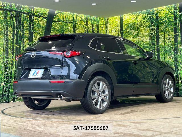 Mazda CX-30 2022-08 7500106-16