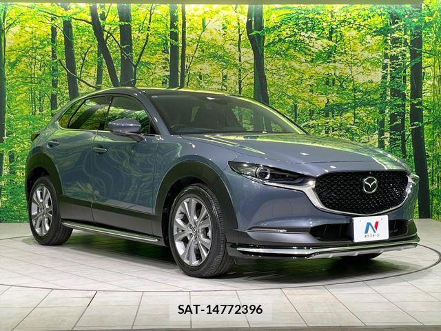 Mazda CX-30 2021-08 7615941-15