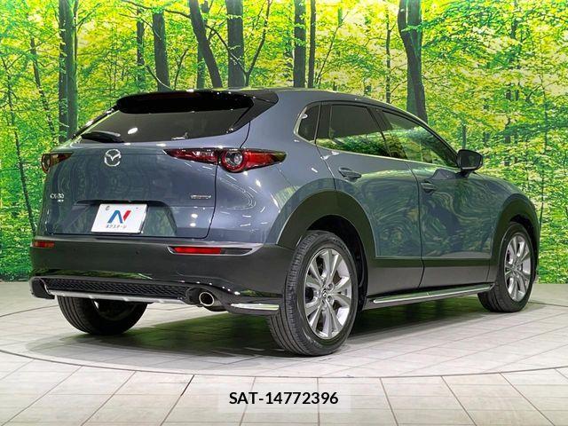 Mazda CX-30 2021-08 7615941-16