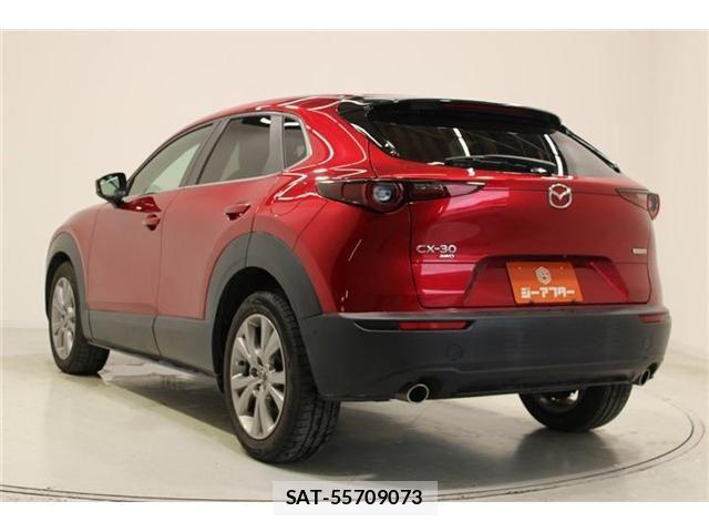 Mazda CX-30 2020-01 7615951-9