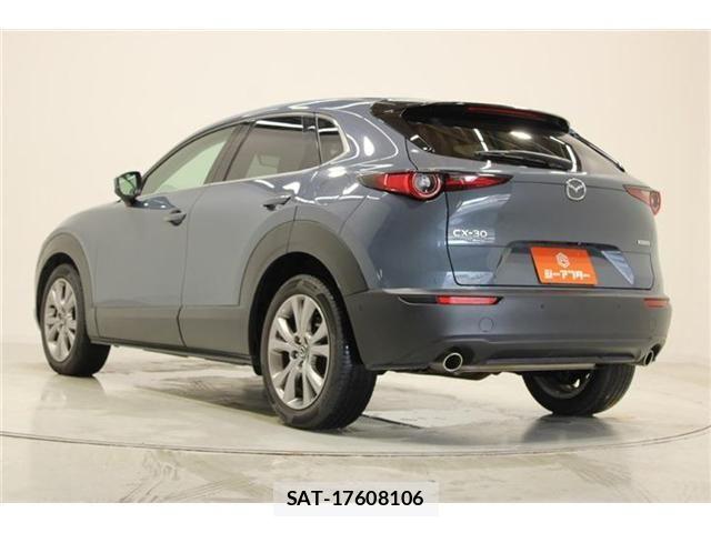 Mazda CX-30 2019-10 7615946-9