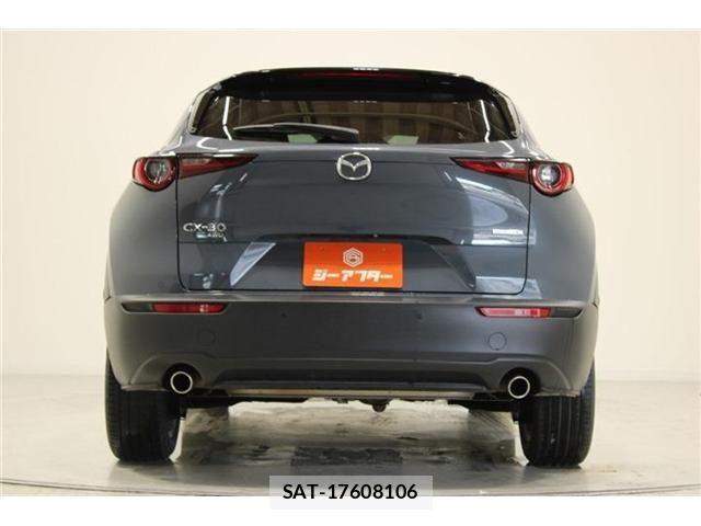 Mazda CX-30 2019-10 7615946-10