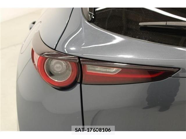 Mazda CX-30 2019-10 7615946-18