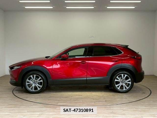 Mazda CX-30 2024-10 7722345-15