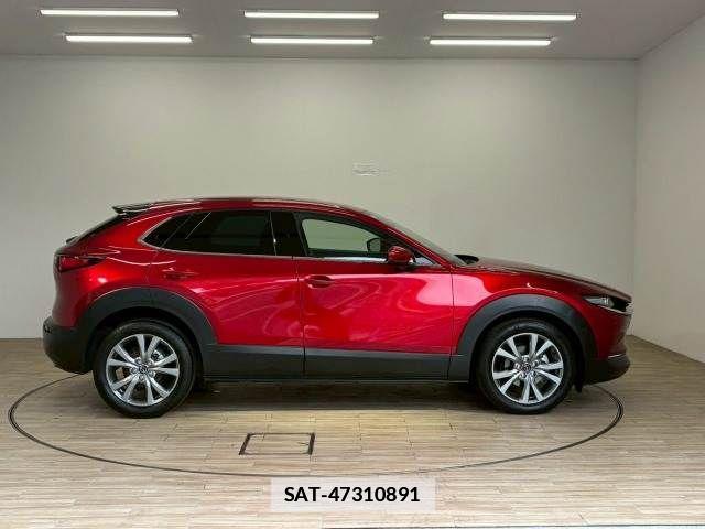 Mazda CX-30 2024-10 7722345-16