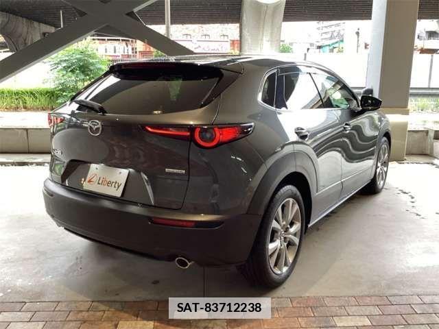 Mazda CX-30 2020-09 7722347-18