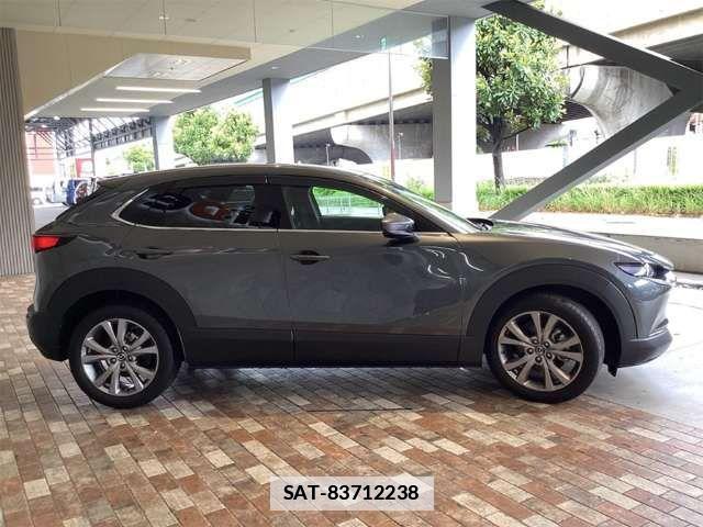 Mazda CX-30 2020-09 7722347-8