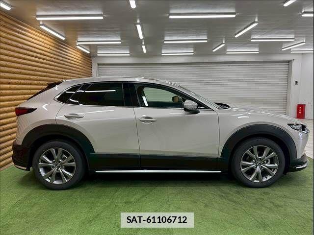 Mazda CX-30 2024-11 7783978-17
