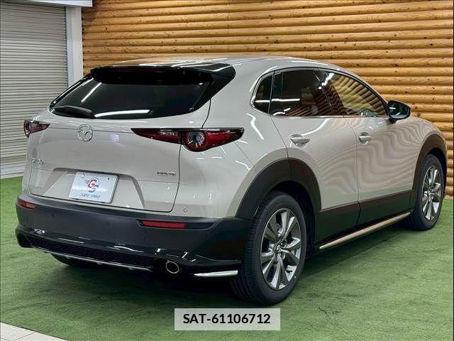 Mazda CX-30 2024-11 7783978-18