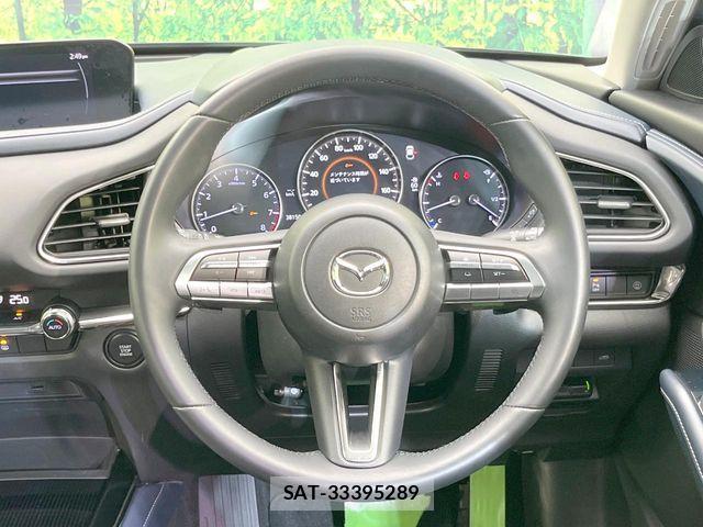 Mazda CX-30 2019-10 7783972-10