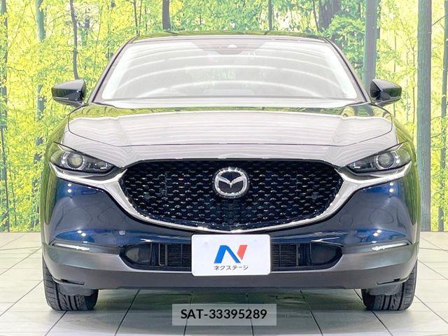 Mazda CX-30 2019-10 7783972-13