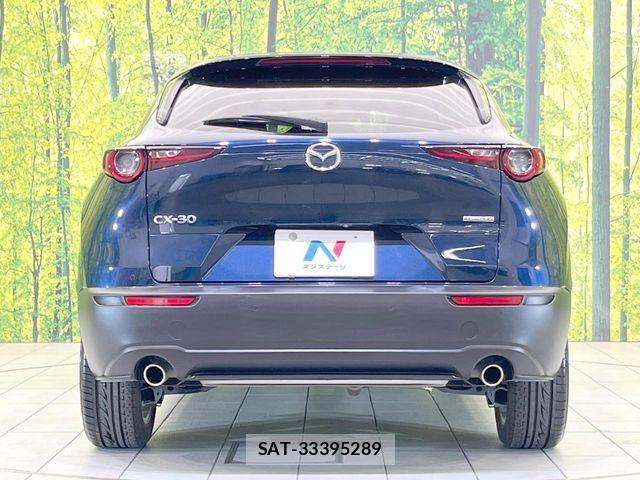 Mazda CX-30 2019-10 7783972-14