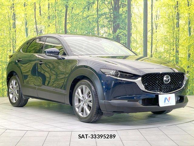 Mazda CX-30 2019-10 7783972-15