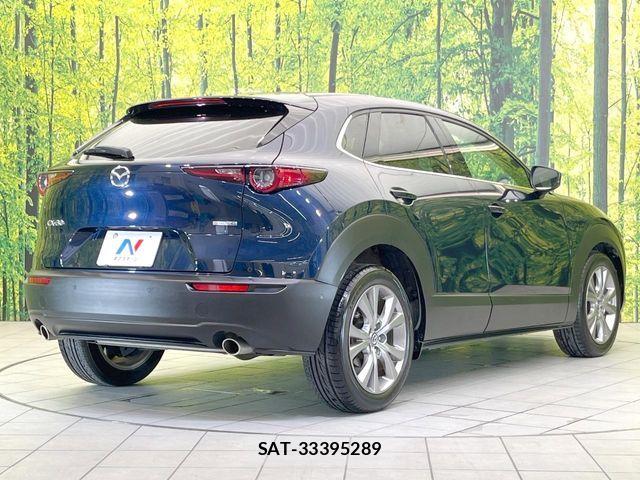 Mazda CX-30 2019-10 7783972-16