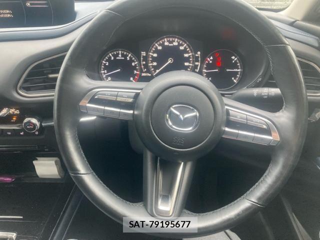 Mazda CX-30 2019-12 7783968-9