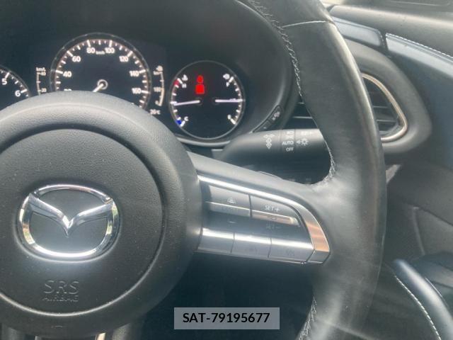 Mazda CX-30 2019-12 7783968-11