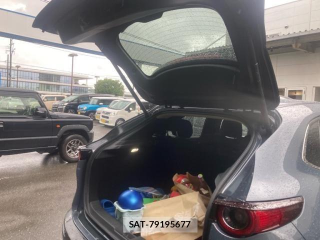 Mazda CX-30 2019-12 7783968-19