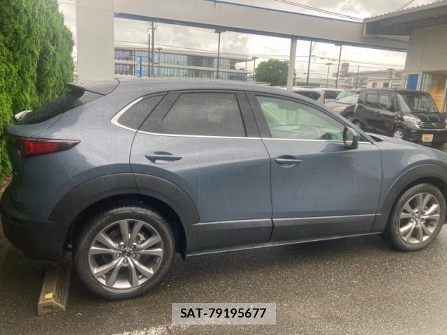 Mazda CX-30 2019-12 7783968-8