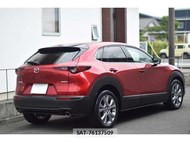 Mazda CX-30 2020-03 7783976-8