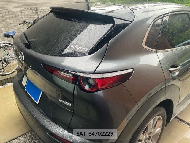 Mazda CX-30 2019-11 7783969-5