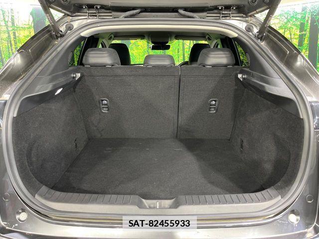 Mazda CX-30 2020-08 7875970-9