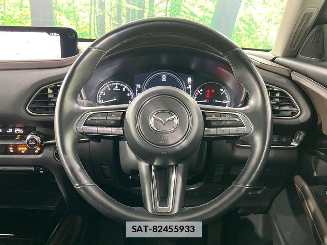 Mazda CX-30 2020-08 7875970-10