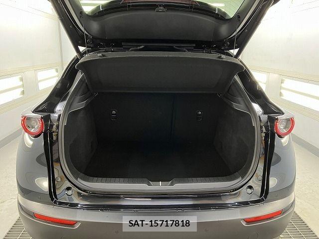 Mazda CX-30 2019-10 7875968-12