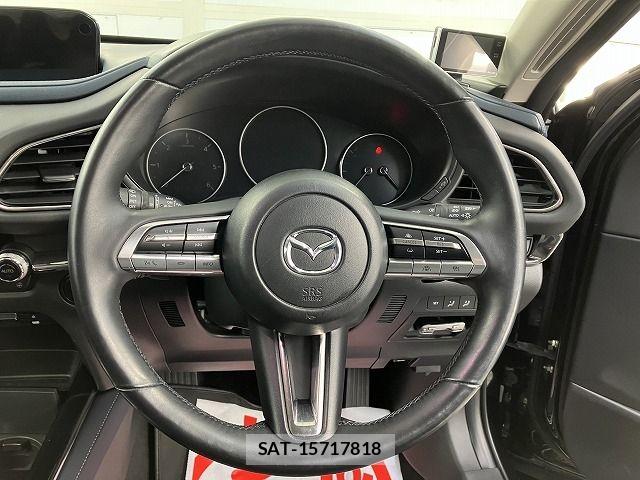 Mazda CX-30 2019-10 7875968-15