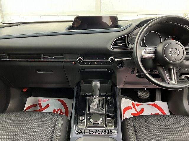 Mazda CX-30 2019-10 7875968-16