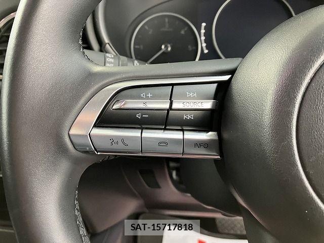 Mazda CX-30 2019-10 7875968-18