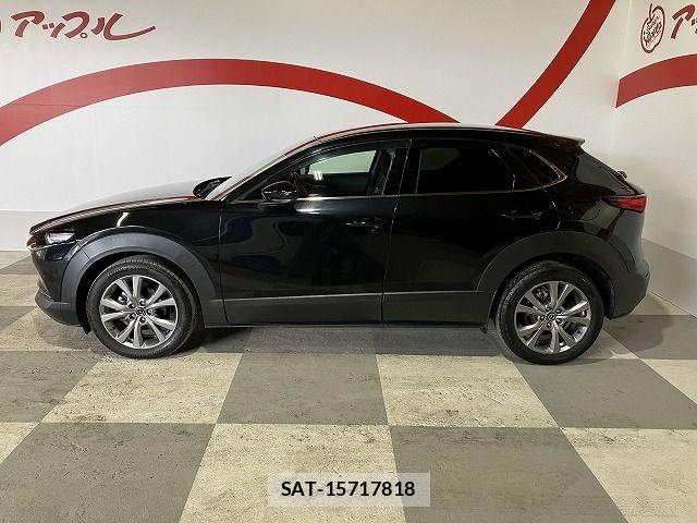 Mazda CX-30 2019-10 7875968-2