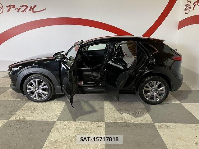Mazda CX-30 2019-10 7875968-3