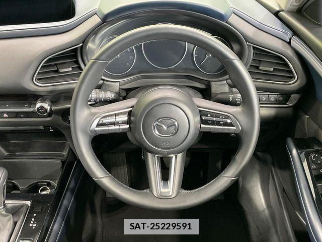 Mazda CX-30 2021-01 7902471-10
