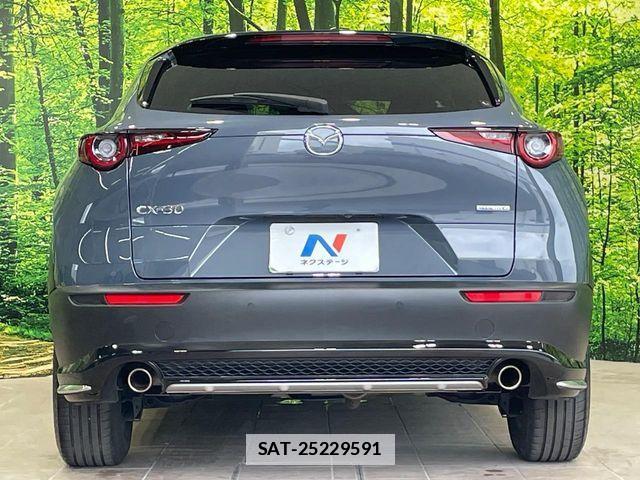 Mazda CX-30 2021-01 7902471-14