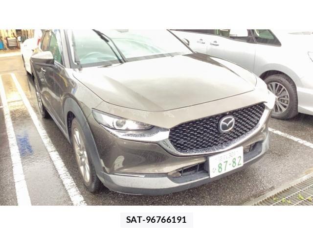 Mazda CX-30 2019-10 7961097-0