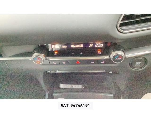 Mazda CX-30 2019-10 7961097-8