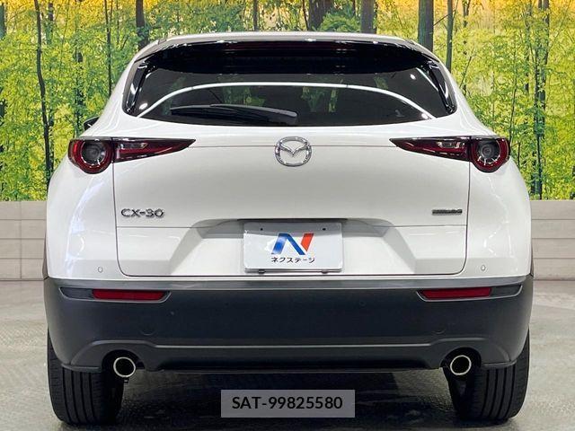 Mazda CX-30 2021-12 7961096-14