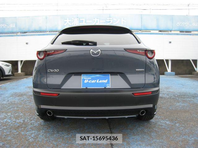 Mazda CX-30 2020-02 7961095-14