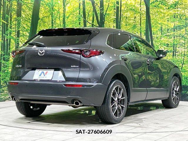 Mazda CX-30 2021-06 7978927-16
