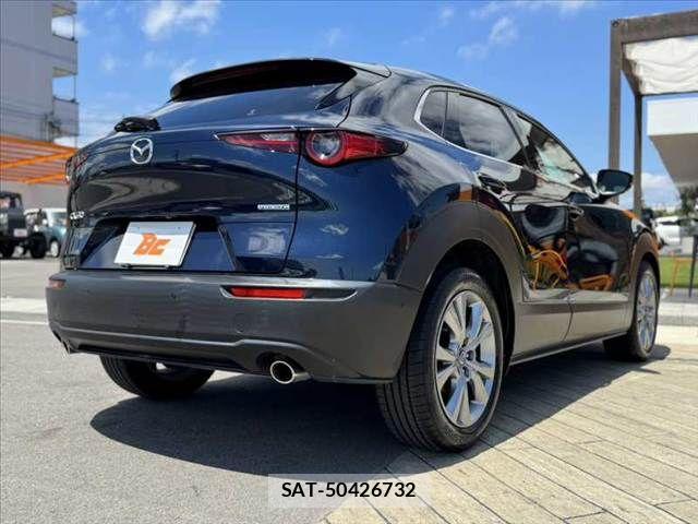 Mazda CX-30 2021-01 8035127-14