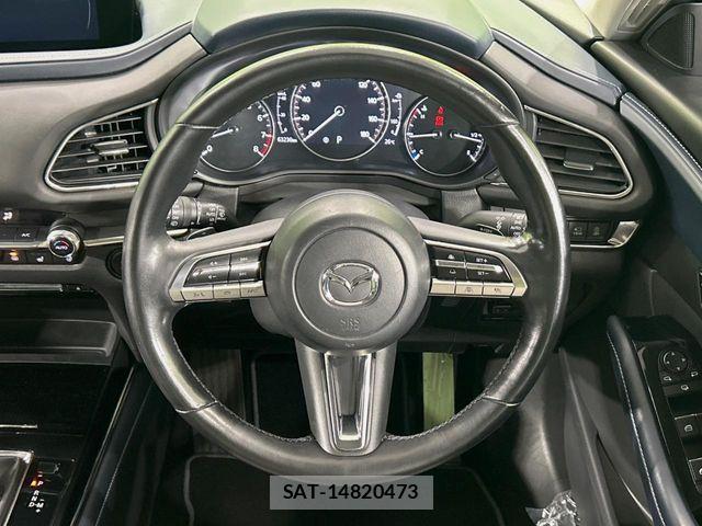 Mazda CX-30 2021-09 8035128-10