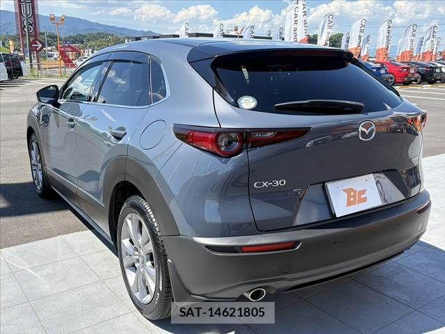 Mazda CX-30 2022-02 8035129-14